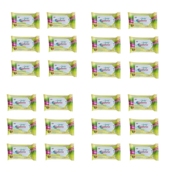 دستمال مرطوب پنبه ریز مدل 024 مجموعه 24 عددی