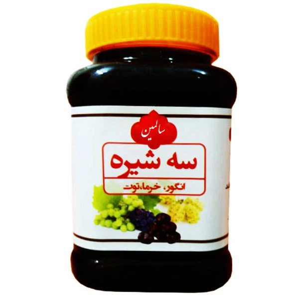 qualityq_90-29551 سه شیره سنتی سالمین - 900 گرم - تصویر 1