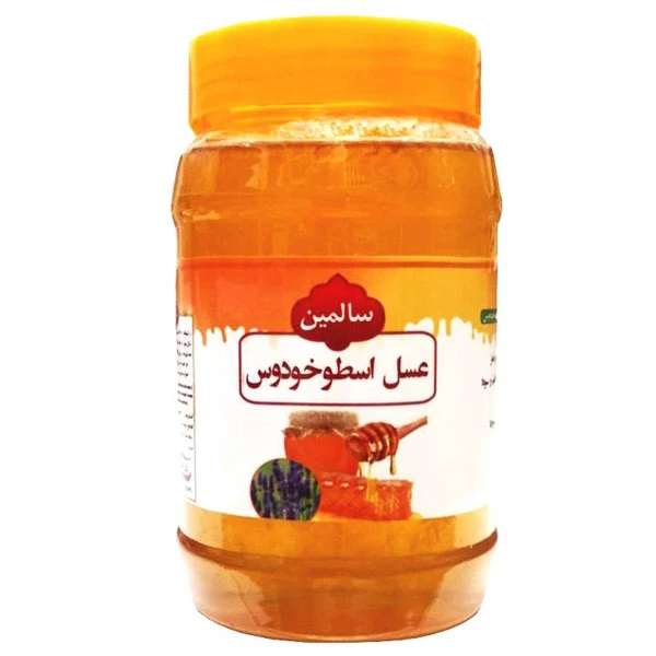 qualityq_90-29600 عسل اسطوخودوس سالمین - 900 گرم - تصویر 1