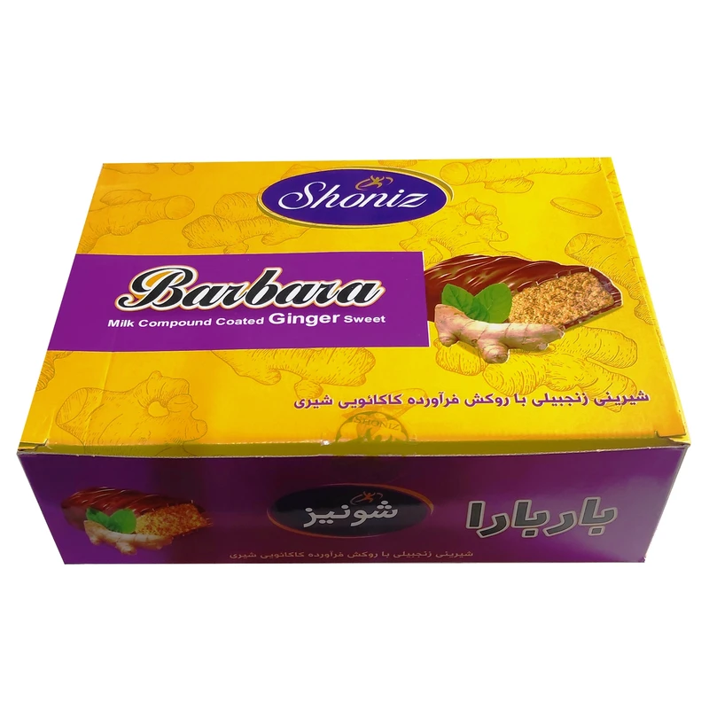qualityq_90-30213 شیرینی زنجبیلی با روکش کاکائو شونیز - 1 کیلوگرم - تصویر 1