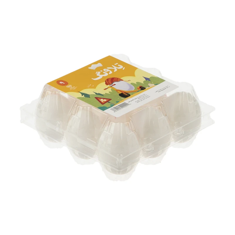 qualityq_90-31570 تخم مرغ گرید B تلاونگ بسته 9 عددی - تصویر 1