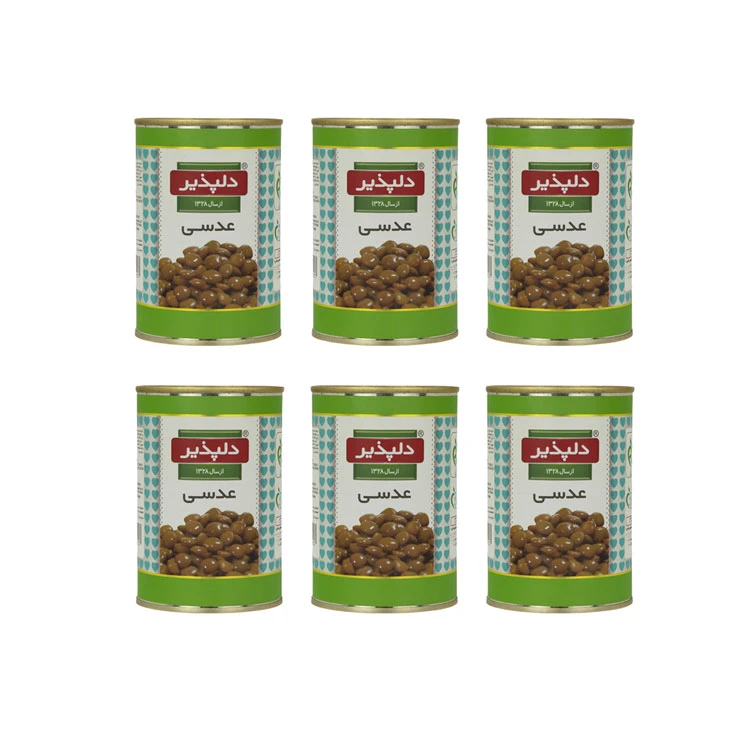 qualityq_90-36079 کنسرو عدسی دلپذیر - 600 گرم بسته 6 عددی - تصویر 1