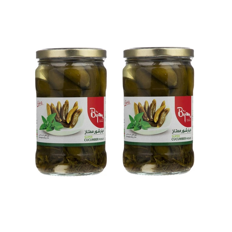 qualityq_90-43797 خیار شور ممتاز بیژن - 660 گرم مجموعه 2 عددی - تصویر 1