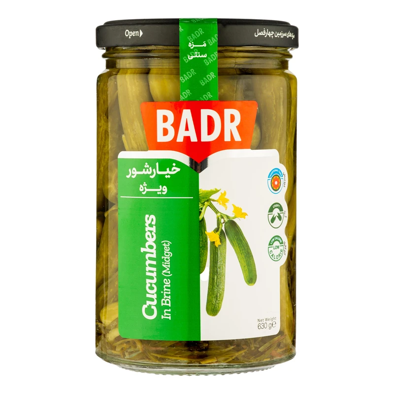 qualityq_90-49016 خیارشور ویژه بدر - 630 گرم - تصویر 1