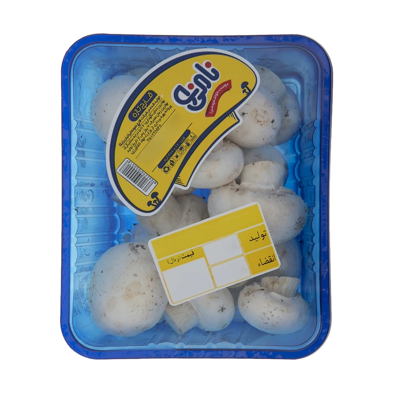 qualityq_90-52047 قارچ نامی نو - 200 گرم - تصویر 1