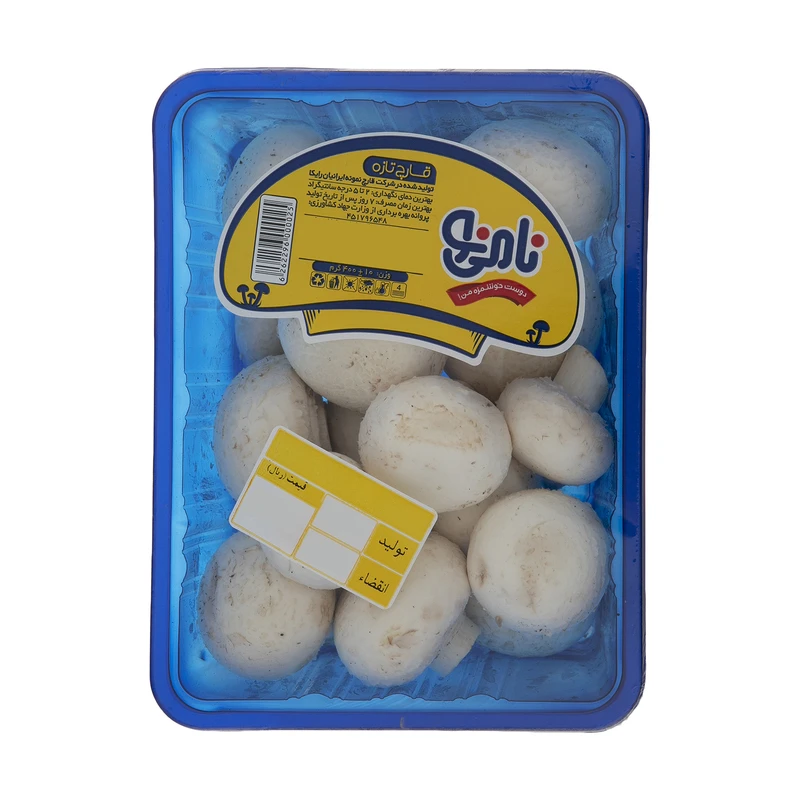 qualityq_90-52051 قارچ نامی نو - 400 گرم - تصویر 1