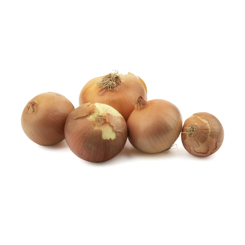 qualityq_90-55395 پیاز زرد Fresh وزن 1 کیلوگرم - تصویر 1