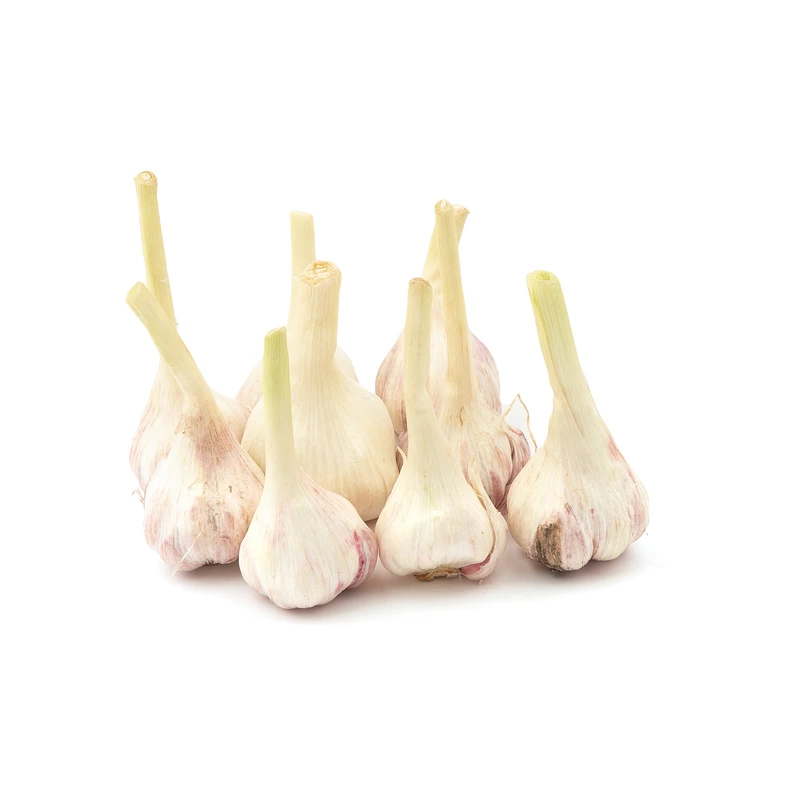 qualityq_90-55486 سیر تازه fresh وزن 500 گرم - تصویر 1