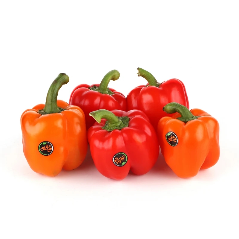 qualityq_90-55528 فلفل دلمه رنگی Fresh وزن 500 گرم - تصویر 1