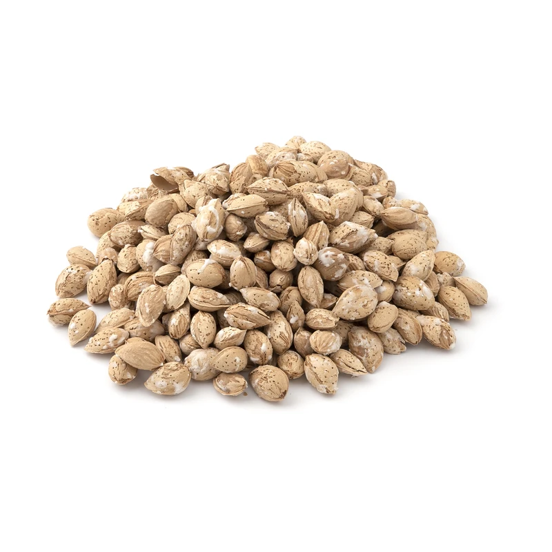 qualityq_90-55695 بادام محب ایرانی با پوست شور Fresh وزن 500 گرم - تصویر 1