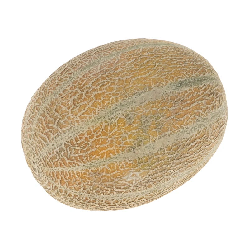 qualityq_90-55845 طالبی شاه پسند کوچک Fresh وزن 1 تا 1.5 کیلوگرم - تصویر 1