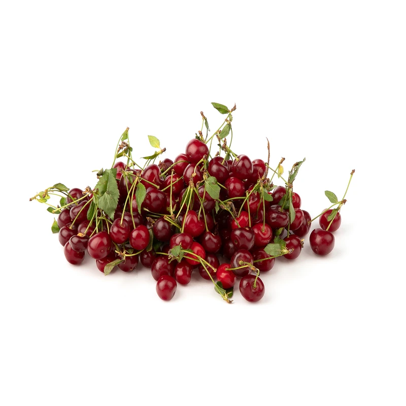 qualityq_90-55899 آلبالو پیوندی Fresh مقدار 500 گرم - تصویر 1