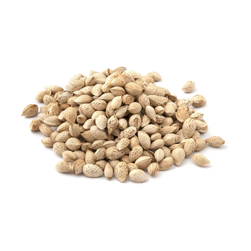 qualityq_90-56074 بادام محب ایرانی با پوست خام Fresh وزن 500 گرم - تصویر 1