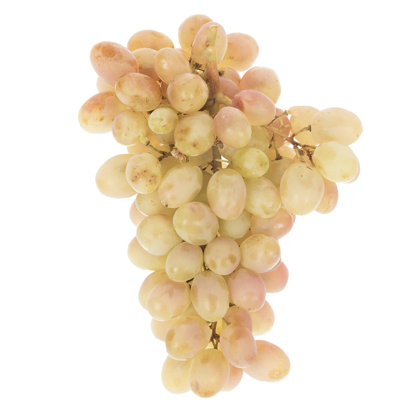 qualityq_90-56143 انگور شاهرودی Fresh مقدار 500 گرم - تصویر 1