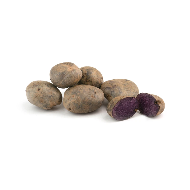 qualityq_90-56194 سیب زمینی بنفش fresh وزن 500 گرم - تصویر 1