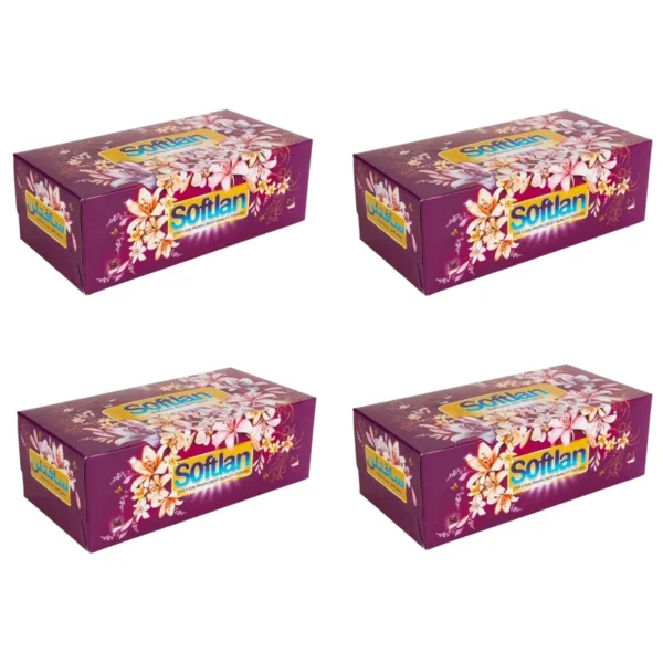 دستمال کاغذی 300 برگ سافتلن مدل باغ بهشت بسته 4 عددی